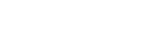 Bizi